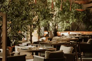 New spots in the city